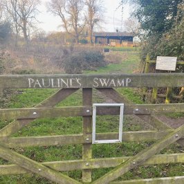 Paulines-Swamp.jpeg:cts